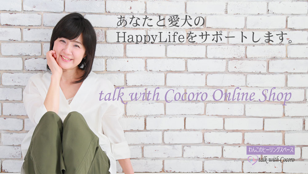 talk with Cocoro Online Shop